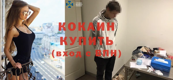 шишки Бородино