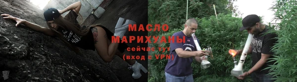шишки Бородино