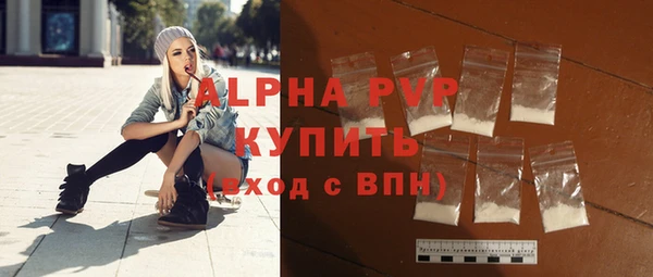 шишки Бородино