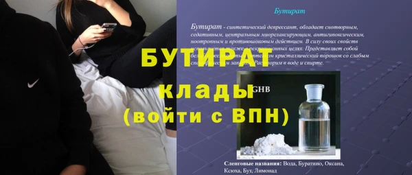 шишки Бородино
