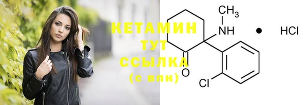 шишки Бородино