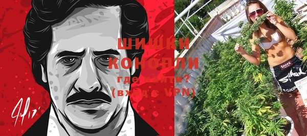 шишки Бородино