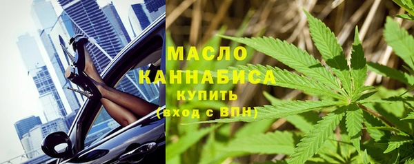 шишки Бородино
