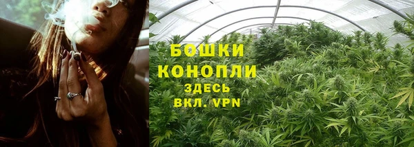 apvp Бугульма