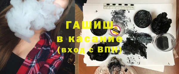 шишки Бородино