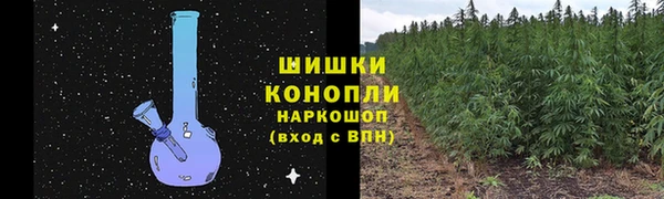 шишки Бородино