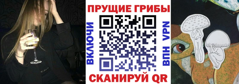 дарнет шоп Ковдор kraken ONION Галлюциногенные грибы ЛСД